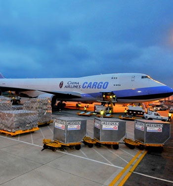 Air freight logistics